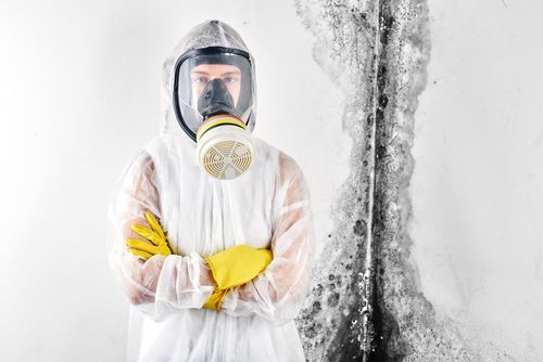 Mold Removal