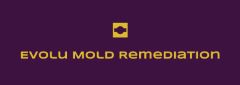 Evolu Mold Remediation - Mold Services